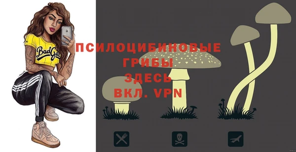 трава Медвежьегорск