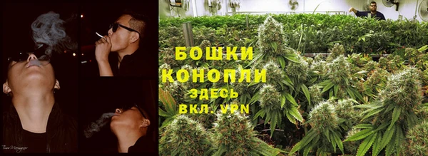 трава Медвежьегорск